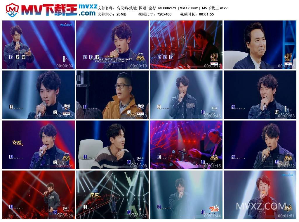 高天鹤-炫境_国语_流行_MD306171